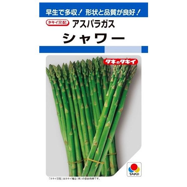 ^LCc@AXpKX@V[@1.2mlyXΉz