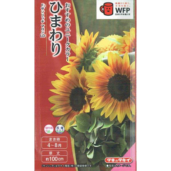ひまわりさん専用 nikkoseed2012_stab219600075