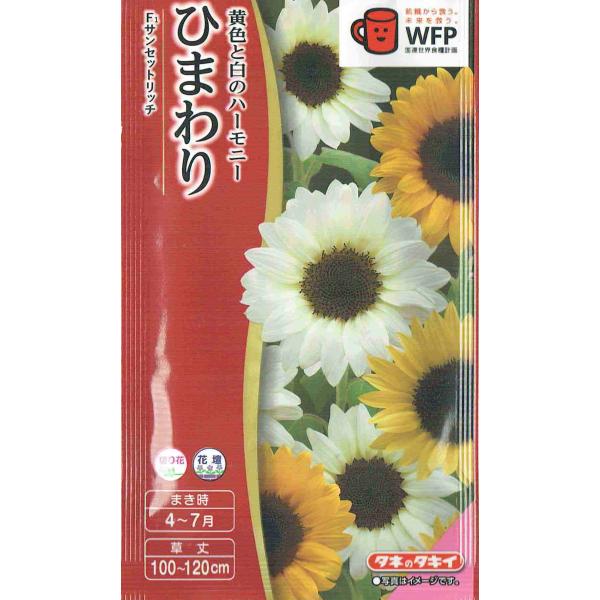 タキイ種苗 ひまわり サンセットリッチのタネ[内容量：2ml] : 日光種苗