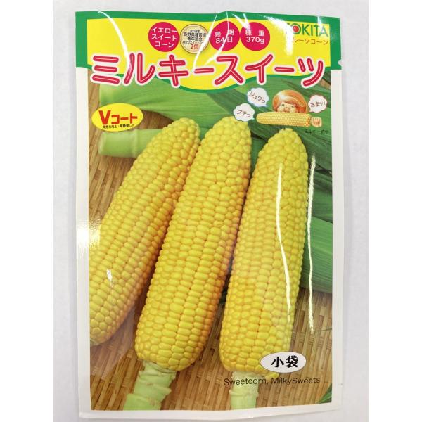 播種後84日前後で穂重370g程度によく揃い、極端な大小がありません。粒は、16〜18列の2Lサイズ中心で、先端不稔が少なく、鮮やかな黄色で光沢があります。ほとんど粒皮の存在を感じさせない、ジューシーでフルーツのようなミルキーコーンシリーズ...