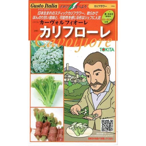 通常のカリフラワーと異なり、固く締まらない頂花蕾を房ごとカットしてスティック状に利用するユニークなカリフラワー。定植後65〜75日で収穫可能やや過熱の状態で花梗（茎部）を伸ばして収穫花蕾形状は扁平となり調整作業が容易花梗部の緑と花蕾の白のコ...
