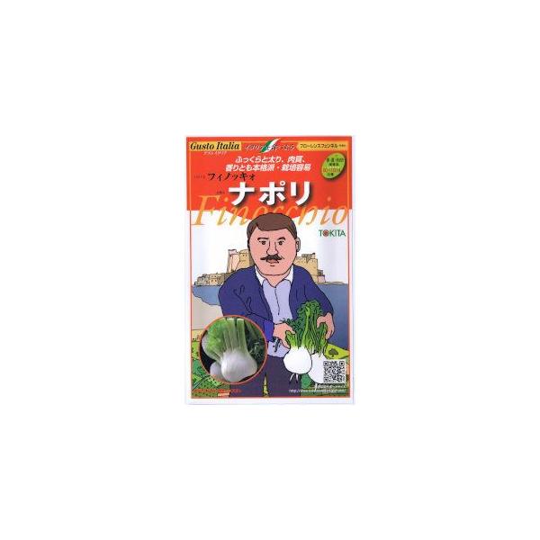 本種は、イタリアで愛用されている品種から選抜した、香り高く、塊茎色も白くきれいな中早生の品種です。季節を問わず作りやすくよく太ります。痩せた土地でも比較的作りやすいですが、根が深いので深耕すると上手に作ることが出来ます。