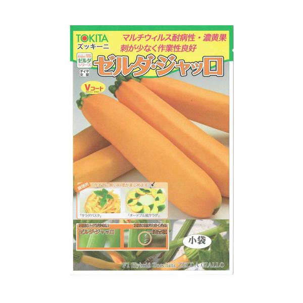 果長20cm前後、円筒形。艶のある濃い黄色の果皮には、紋も無く、発色が良く高品質。草姿は立性で、葉柄にトゲが少なく収穫作業性が良い。果皮の傷つきも少ない。ウイルス病（ZYMV、WMV）に強く、栽培容易。生育初期から草勢が安定し高収量。肉類と...