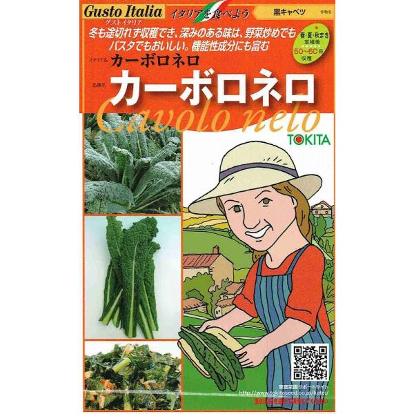 カーボロネロは、トスカーナ地方で栽培が盛んな結球しない葉キャベツの一種でケールの仲間。主に煮込み料理や豆類などとともにスープなどにも使われます。繊維質が多く熱に強いので、煮込んでもとろけにくく、炒め物に使う場合は、生のまま加えて炒めます。火...