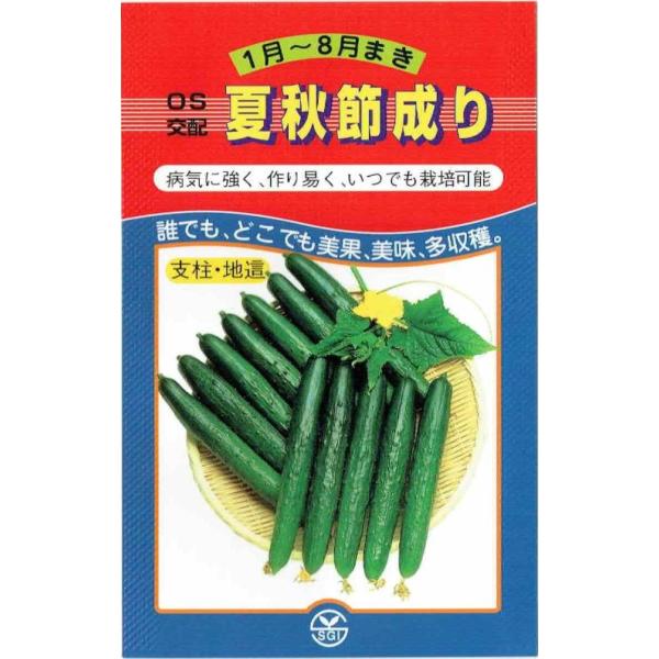 作りやすいキュウリ栽培の悩みであるベト、ウドンコ病に抜群に強く普通品種の半分の消毒でも栽培可能です。全天候型天候に左右されにくい性質に加え、節間が短いため誘引や摘芯が大巾に省ける省力品種です。美しくおいしい果はさえたグリーンで、水々しく、歯...
