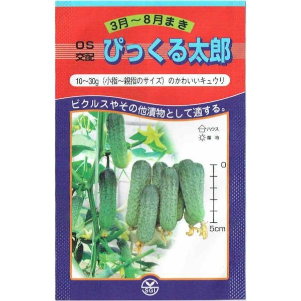かわいくおいしい10〜30g（小指〜親指のサイズ）ピクルス、その他漬物として適する。病気に強い各種病気に強いが、特にウドンコ病・褐班病に強い。沢山とれる雌花率100％（各節1〜3果）ミツバチを入れて収量アップ（ハウス栽培の暑い時期）