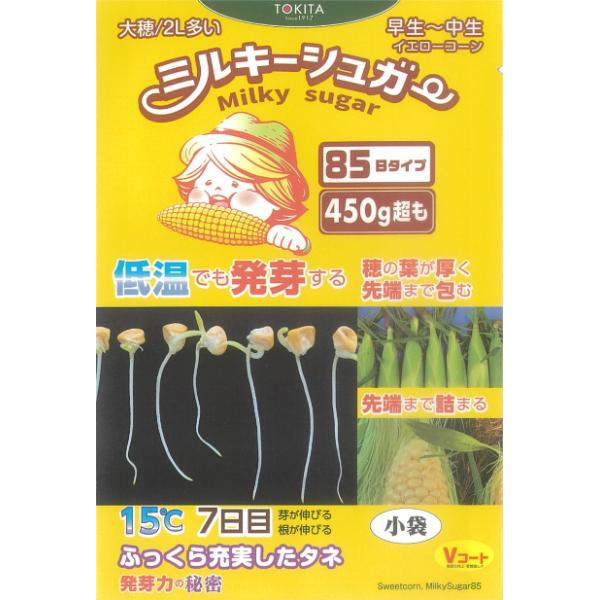 播種後85日目安で収穫可能。早生〜中生の作型で使用する。低温条件でも発芽力があり、特に早春に播種する方におすすめ。穂重は450g以上と２L比率が高い。皮が薄くて食感が良い。高糖度で食味◎。先端不稔は他品種に比べ発生しにくい。スイートコーンの...