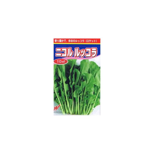 草姿は立性で、葉型はダイコン葉状。葉色は濃緑色で、葉肉は厚い。ゴマの香りとクレソンのような風味を持つ。胚軸は細く柔らかで、収穫・調整作業が容易。風味豊かなので、サラダや肉料理の付け合せに最適。