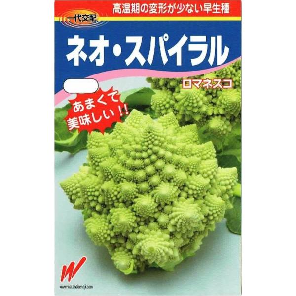 nӔ_@}lXR@lIEXpC@20yXΉz