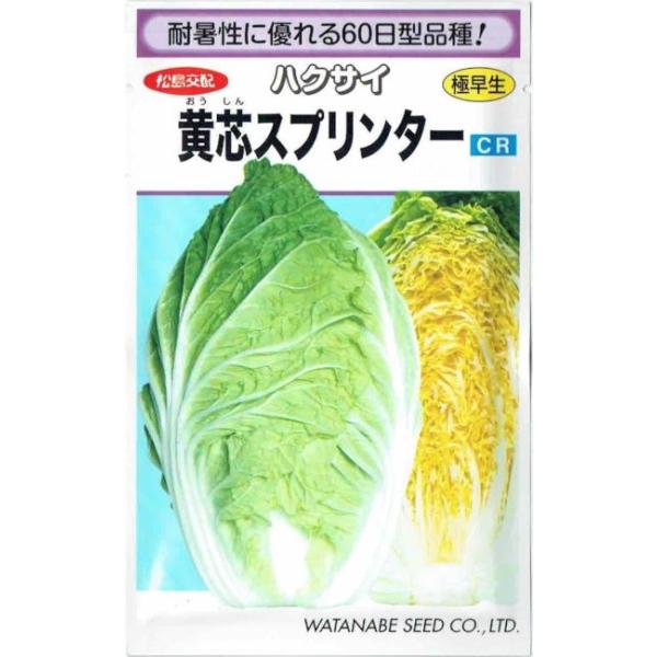 �n�Ӎ̎��@�n�N�T�C�@���c�X�v�����^�[�@0.8ml�y�X���Ή��z