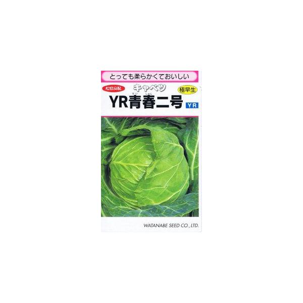 nӍ̎ Lxc YRt2 1.3ml yXΉz