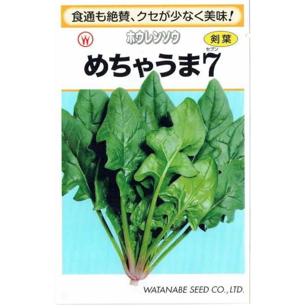 nӍ̎@zE\E@߂Ⴄ܂V@1dlyXΉz