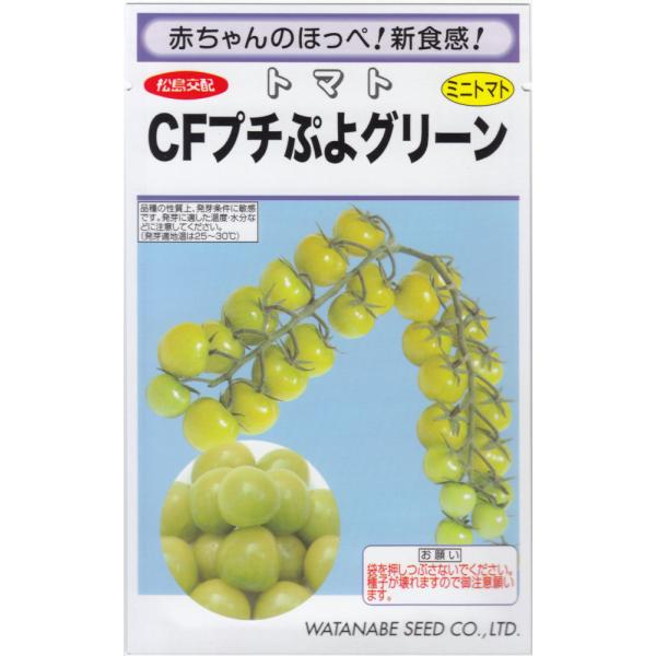 nӍ̎u~jg}g CFv`ՂO[ṽ^l@[e:8]