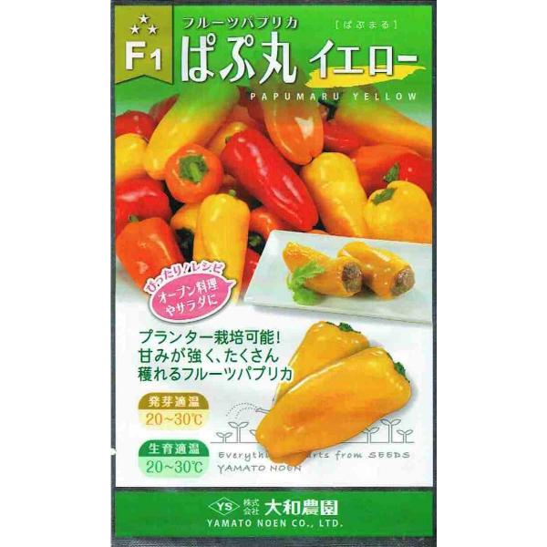 a_@t[cpvJ@ςՊۃCG[@6yXΉz