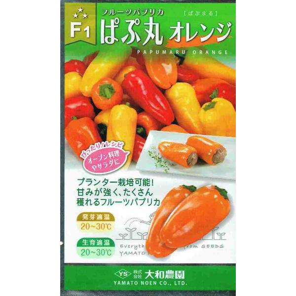 a_@t[cpvJ@ςՊۃIW@6yXΉz