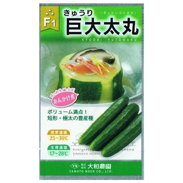 Vz LE 呾یӉZ 10 yXΉz