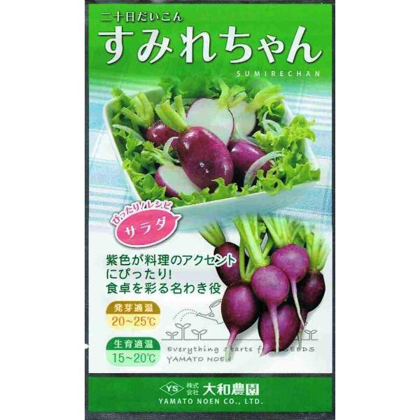 a_@ncJ_CR@݂ꂿ@5mlyXΉz