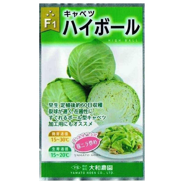 a_@Lxc@nC{[@1mlyXΉz