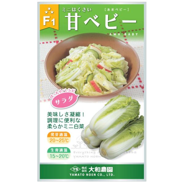 種まき後60日前後で収穫サイズ（約300〜500g）となるミニタイプ。外葉から芯まで柔らかく、甘味があって生でも美味しい。外葉がコンパクトなので株間20cmの超密植栽培も可能。肥料は慣行の半分程度とし、春播きの低温期の育苗は温床を使用する。