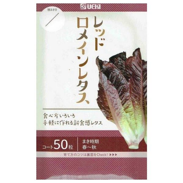 lA؁@bhC^X@R[gq50yXΉz