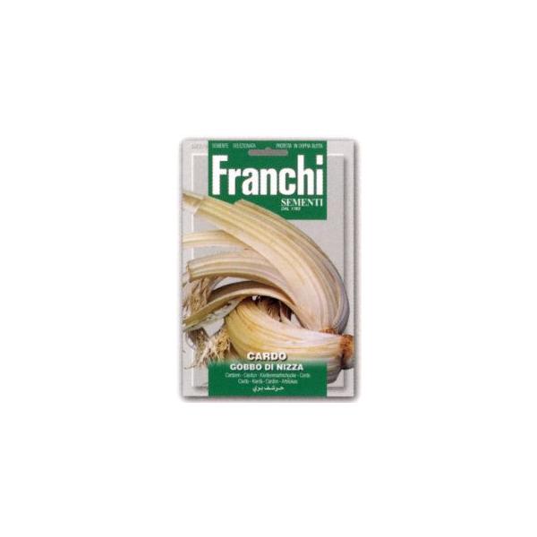 yFRANCHIЎqzy22/8zJh@Sb{