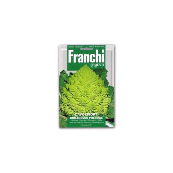 yFRANCHIЁzy30/51zJt[E}lXR@[e:3.2g]