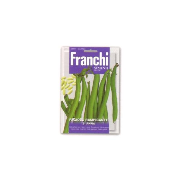 FRANCHIЁ@邠CQ@S.ANNA@57/4