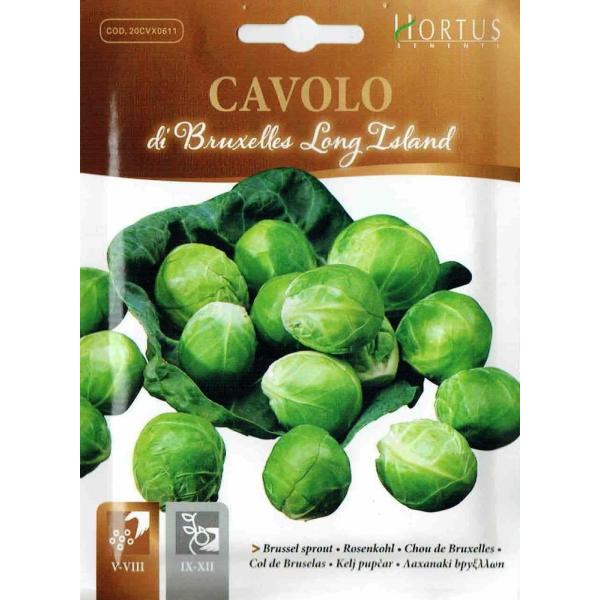 HORTUSЁ@ubZXvEciLxcj@di Bruxelles Long  Island@5g@Art.0611