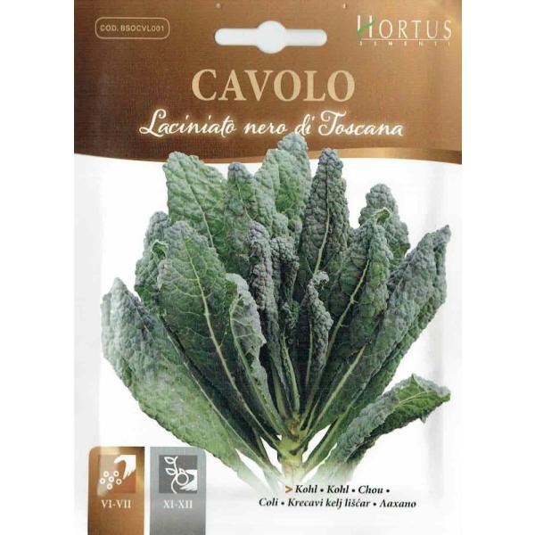 HORTUSЁ@J[{l@NLxc@Laciniato nero di Toscana@5@COD.BSOCVL001@Art.1211