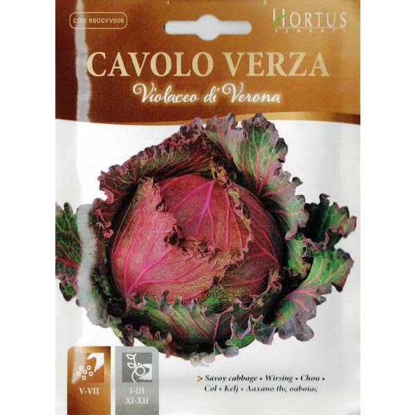 HORTUSЁ@T{CLxc Verza violaceo di  verona@5g@Art.1351@COD.BSOCVV008