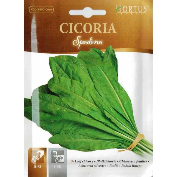 【HORTUS社】リーフチコリー　Spadona　10g　[1991][COD.BSOCIC010]
