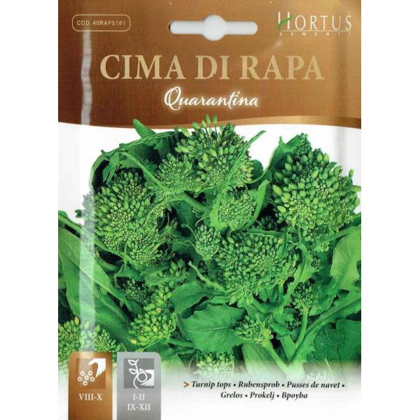 �yHORTUS�Ёz�^�[�j�b�v�g�b�v�i�`�[�}�@�f�B�@���[�p�j<������>�i40�����n�j�@Quarantina�@10���@[5161][COD.45RAP5161]