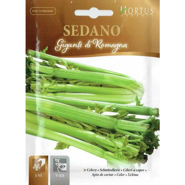 HORTUSЁ@Z[@}[j@Gigante di Romagna@(eʁF4g)@iZj[Art.5801][COD.51SED5801]@iZj