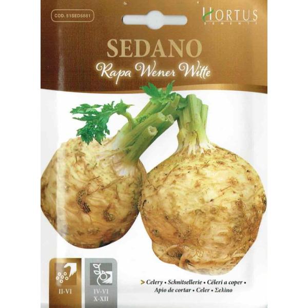 HORTUSЁ@ZAbNEFlg@4@iRapa di Verona bianco del Venetoj@[5881][COD.51SED5881]