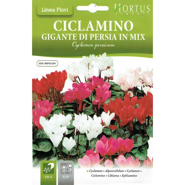 種 シクラメン 種の人気商品 通販 価格比較 価格 Com