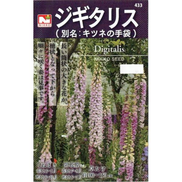 苗 ジキタリス」の人気商品一覧 | 安い商品を通販サイトから探す