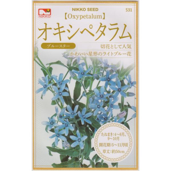 かわいらしい星形のライトブルーの花で、ブルースターと呼ばれます。草丈は50cm程度で、耐暑性が強く、初夏から秋まで咲き続けます。花壇、コンテナの他、切花として楽しめます。