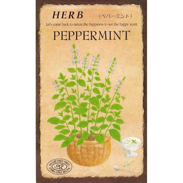 ハッカの香りで有名なハーブ。世界中で一番多く利用されているようです。日本でも古くより親しまれている代表的な品種です。お菓子の芳香づけやハーブティー、ハーブバスなど利用範囲もひろい。生育も強くどんな場所でも手軽に作れます。花は小さくてかわいく...