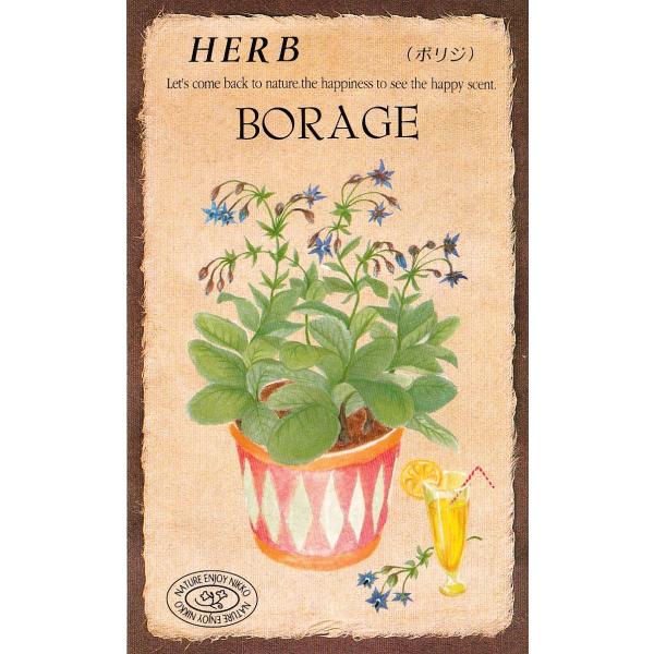 ５月中旬頃に茎の先に星型の鮮やかな青色の花を下向きに次々と咲かせます。葉には、きゅうりのような、さわやかな風味があり、若葉をサラダや天ぷらに、また花は砂糖漬けにしてデコレーションに使用するときれいです。カリウム、カルシウム、マグネシウムなど...