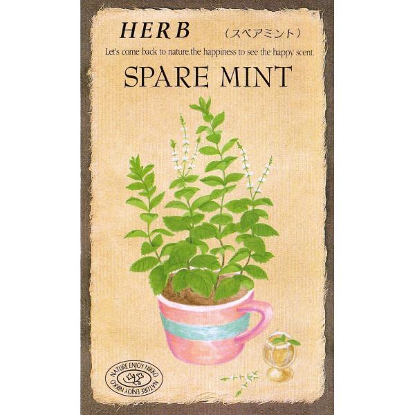 ハッカの香りで有名なペパーミントより少し甘い、マイルドな香りいっぱいです。ハーブティ、ハーブバス、お菓子、料理の香りづけに多く使われています。花は小さくかわいく、清楚な感があります。オランダハッカともいわれ、ヨーロッパでは大変人気があります。