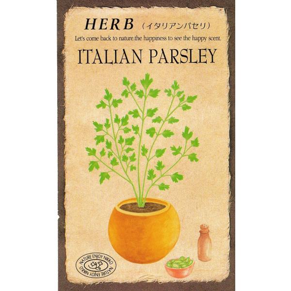 イタリア人がパセリーを初めて食用にした際、酔いざましや酒の嫌なにおいを抑える効果があったようです。花も茎も食用になるハーブで、野性的な強い香りがあります。ビタミンＡ・Ｃ、鉄分などを含み、サラダやスープなどに利用すれば健康にも良いといわれてい...