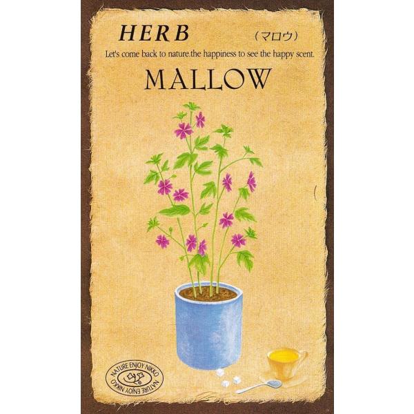 ジャコウによく似た、快い芳香が、花壇の色どりやポプリに人気のあるハーブです。細い茎、さわやかな緑葉、かわいいピンクの花、観賞用としても人気のあるハーブです。花は茎の先端でたくさん咲き、すばらしい芳香をただよわせます。