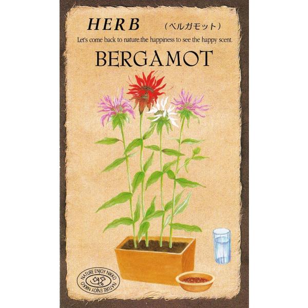 オレンジによく似た芳香があり、ミツバチがよく集まることから、ビー・バームと呼ばれています。ハーブティーやポプリに人気があります。北アメリカ原産のハーブで、ヨーロッパでは庭園用や薬用として人気があります。花も美しく茎は直立し、茎の先端に真っ赤...