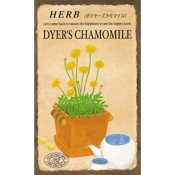 古くより黄色の花は染料として利用されていますが、初夏〜秋にかけて、マーガレットによく似た花を次から次へと咲かせ、濃い緑葉とのコントラストは美しく、ゴールデンマーガレットとも呼ばれ、観賞用として人気があります。