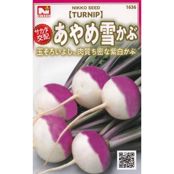 肩の部分が鮮紫色、下の部分が白色の小かぶです。根部腰高の偏円形で肥大性よく、ひげ根少なく尻もまとまりやすい。肉質は緻密で甘味強く食味最高、サラダの彩り、酢漬けに。