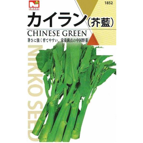 c@JCiHEj̃^l@[eʁF3ml]y1852z