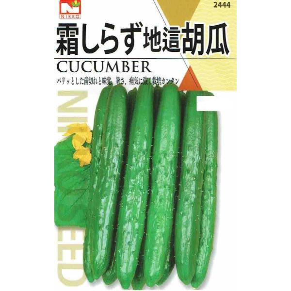 c@炸nイiӉZALEj̃^l@[eʁF3ml]y2444z