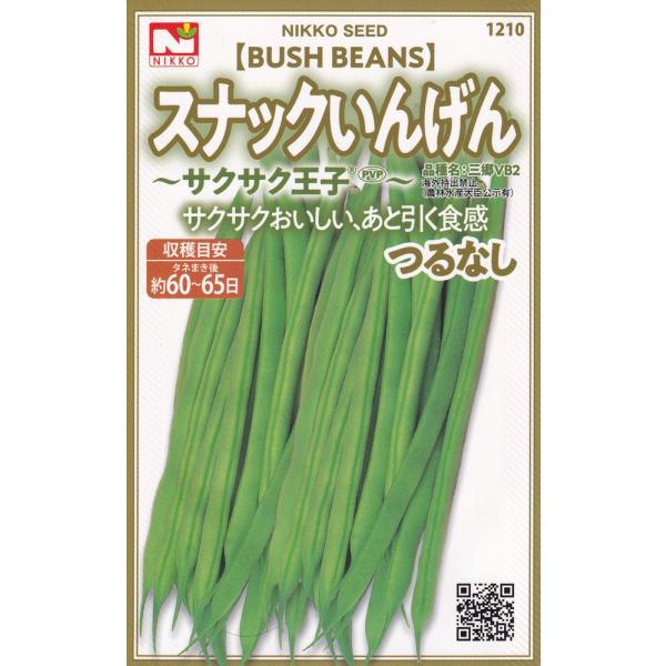 日光種苗 インゲン　スナックいんげん　サクサク王子のタネ[内容量：10ml]【品種名：三郷VB2_登録番号：第13748号_海外持出禁止】