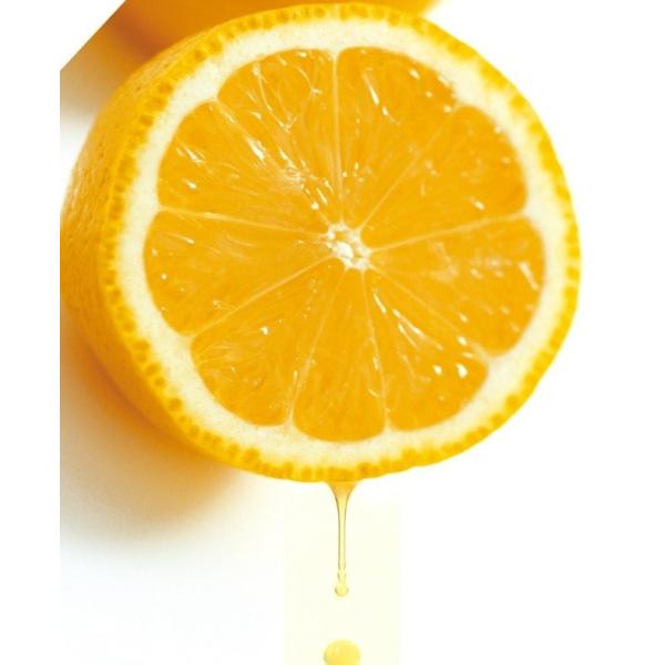 レモン２１ 9cmポット苗 Buyee Buyee Japanese Proxy Service Buy From Japan Bot Online