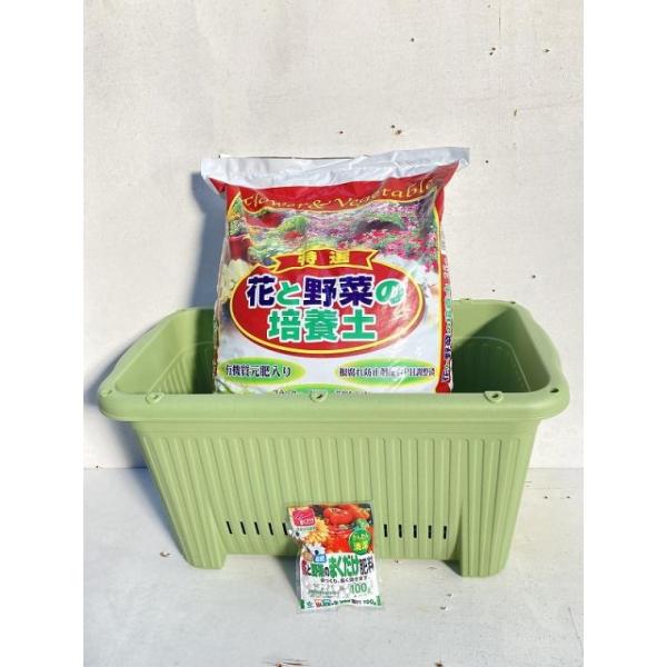 なんでも植えよう！ 大型プランター・たっぷり培養土・追肥用肥料